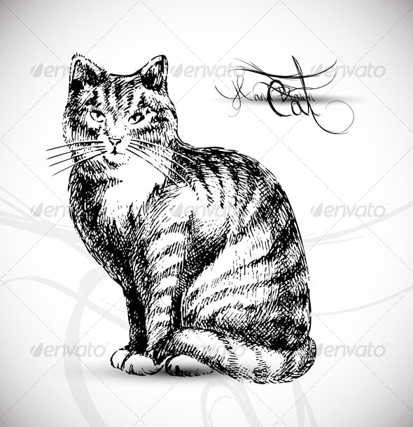 good human cat drawing
